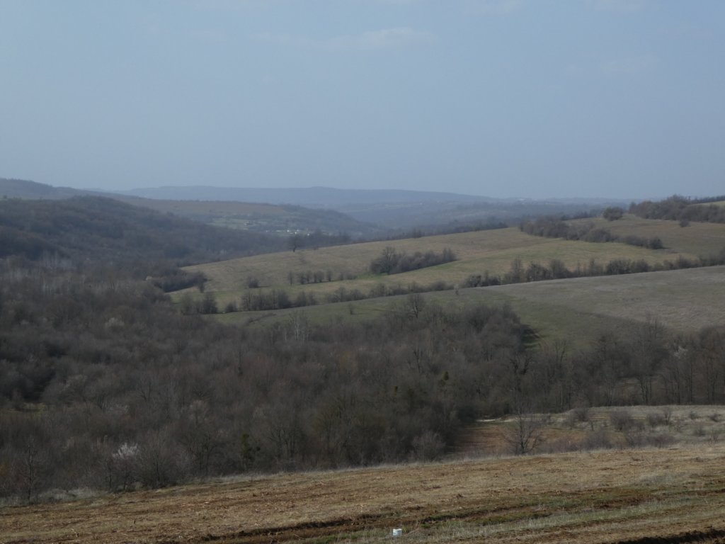 photo17.jpg