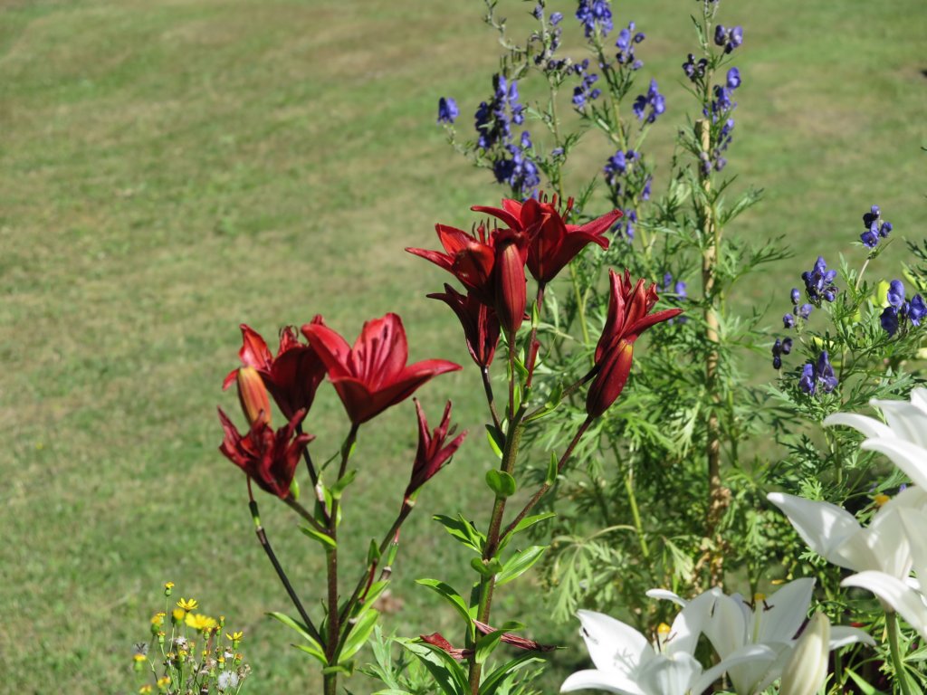 photo58.jpg