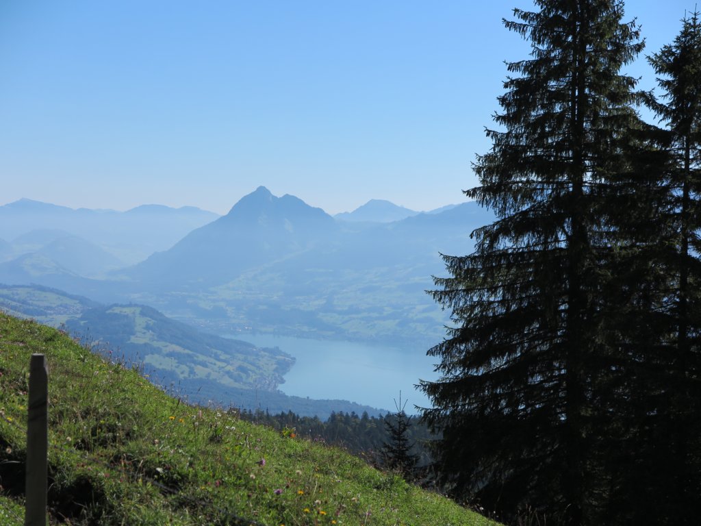 photo19.jpg