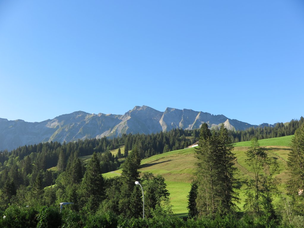 photo2.jpg