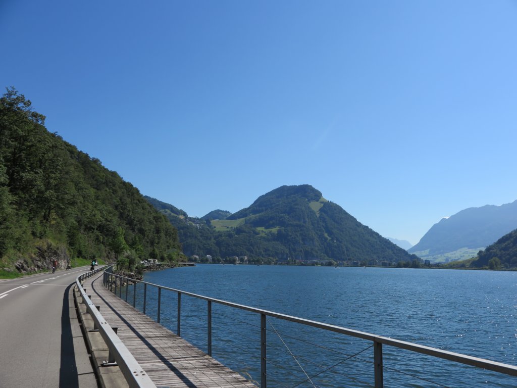photo42.jpg
