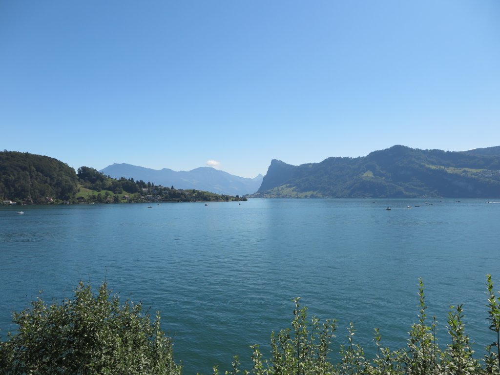 photo47.jpg