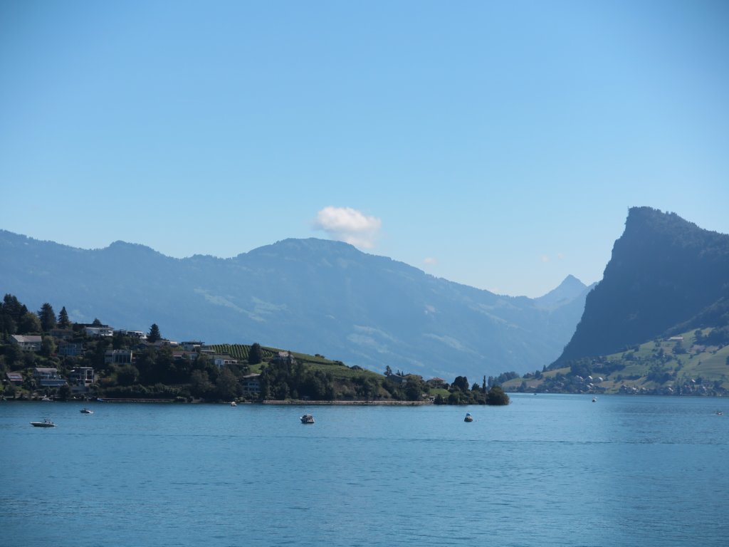 photo48.jpg