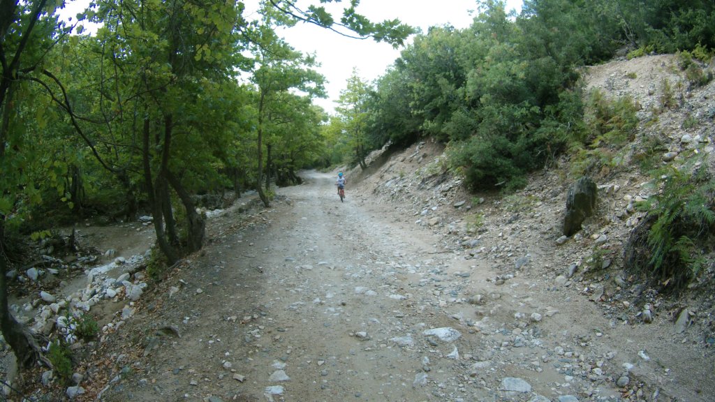 photo57.jpg