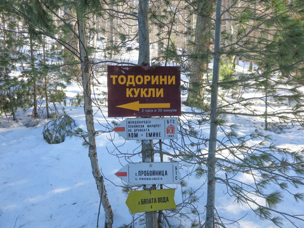 photo2.jpg