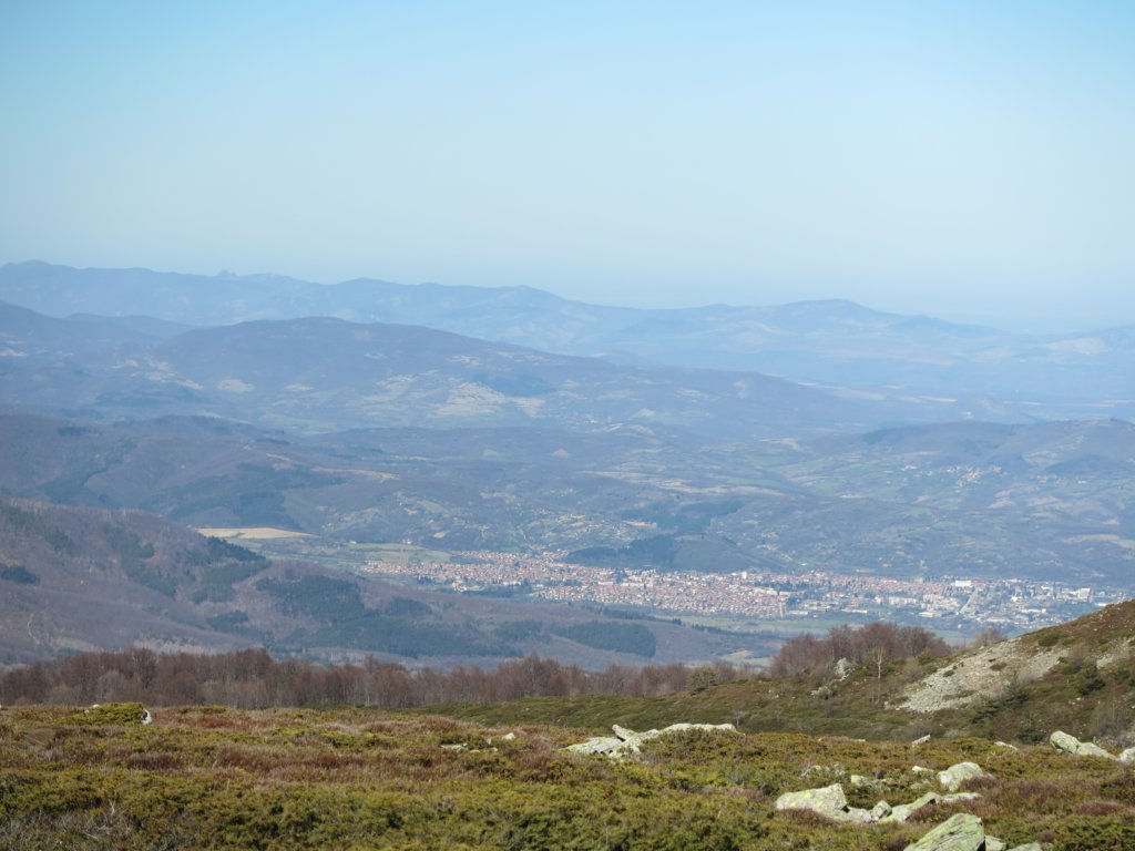 photo14.jpg