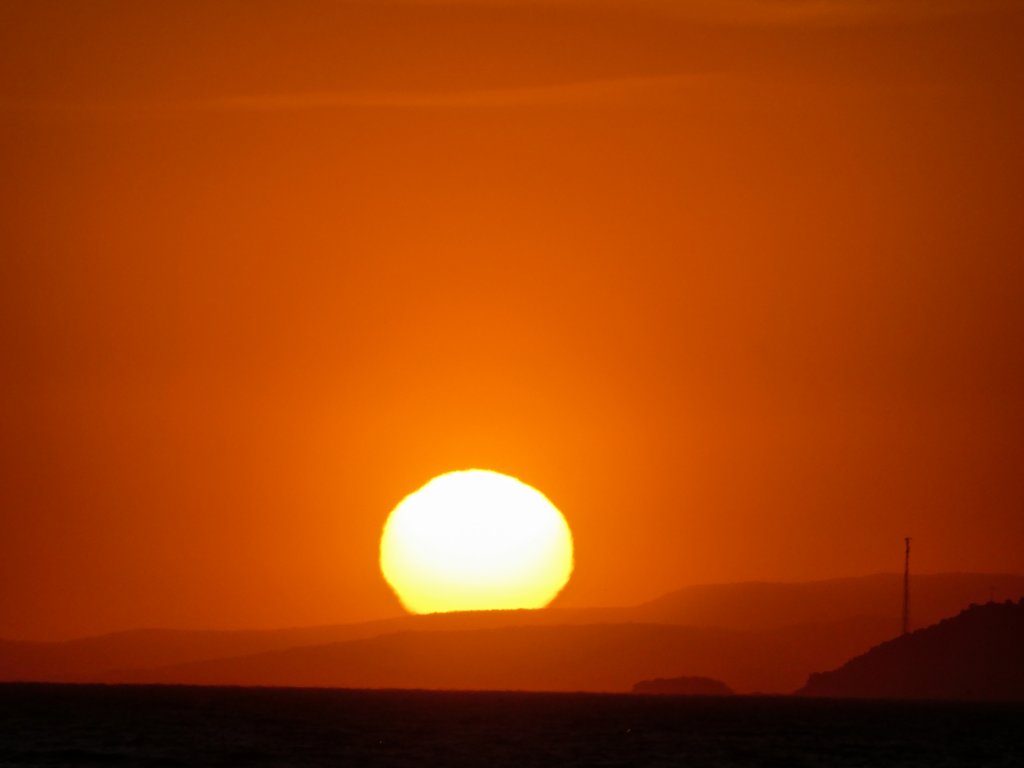 photo42.jpg