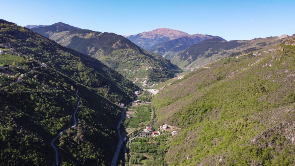 photo.jpg