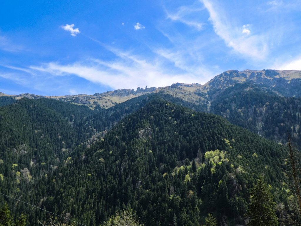 photo13.jpg