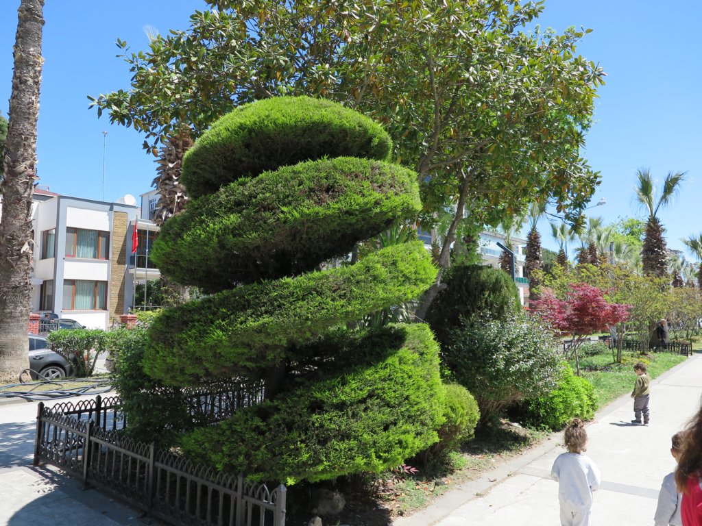 photo43.jpg