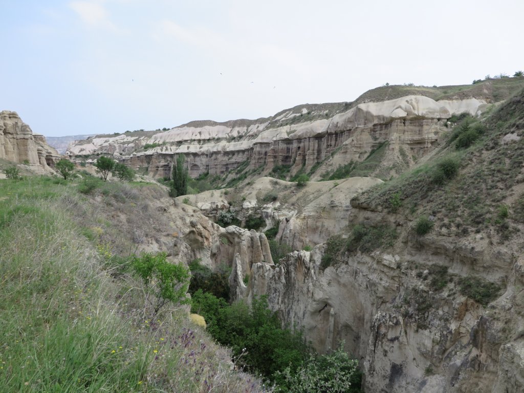 photo87.jpg