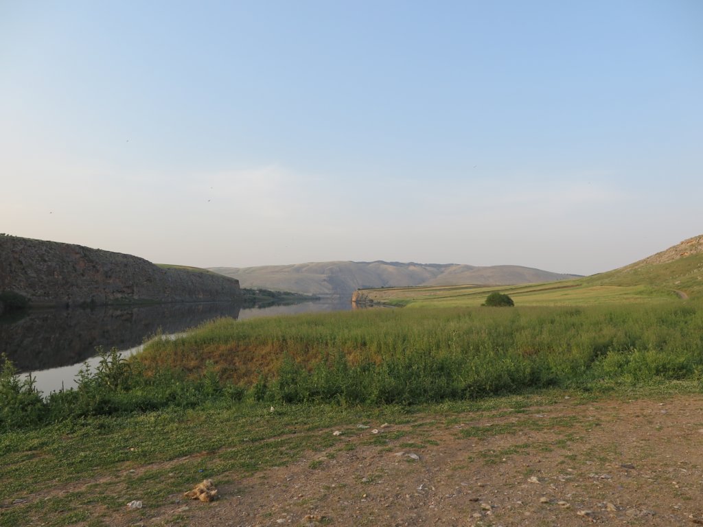 photo64.jpg