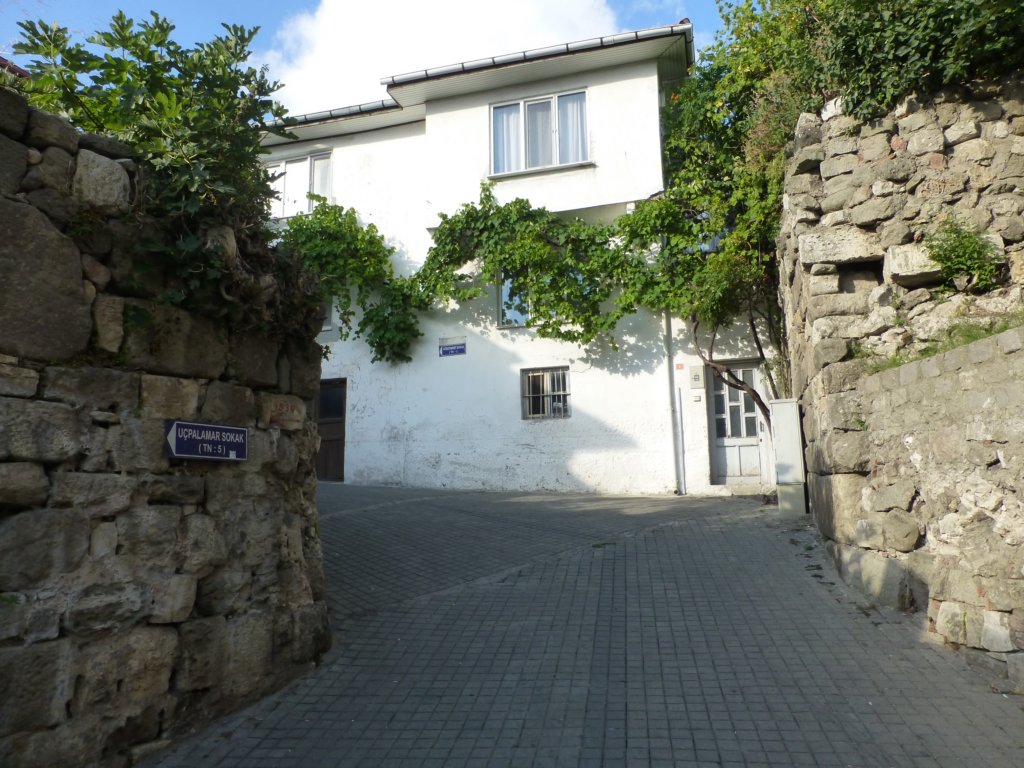photo21.jpg