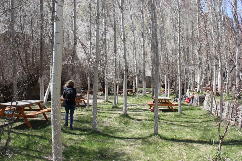 photo37.jpg