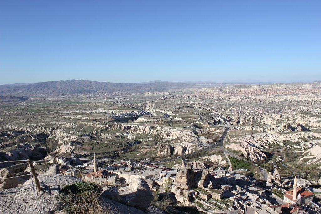 photo8.jpg