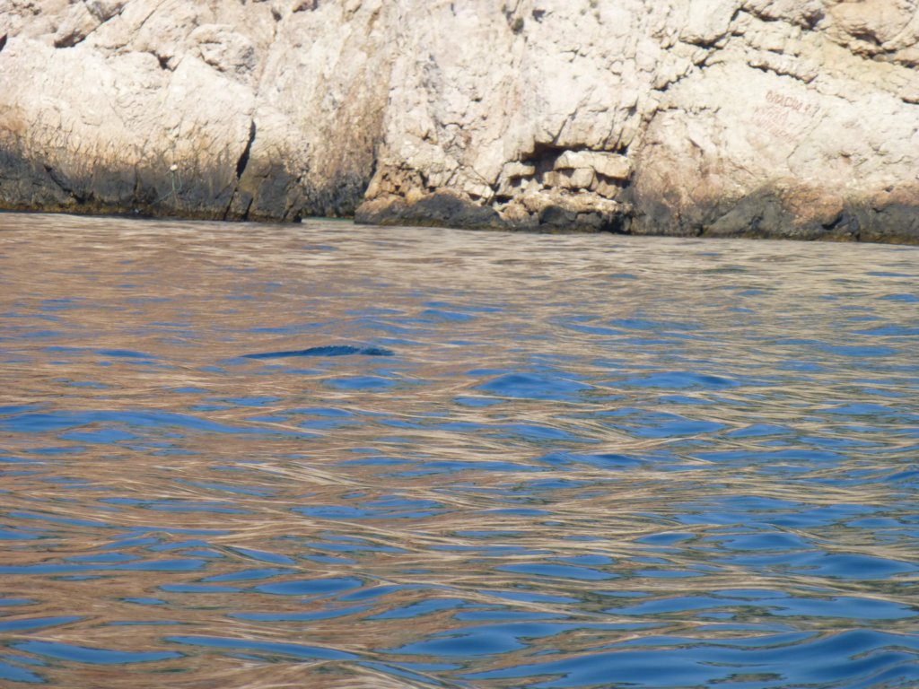 photo43.jpg