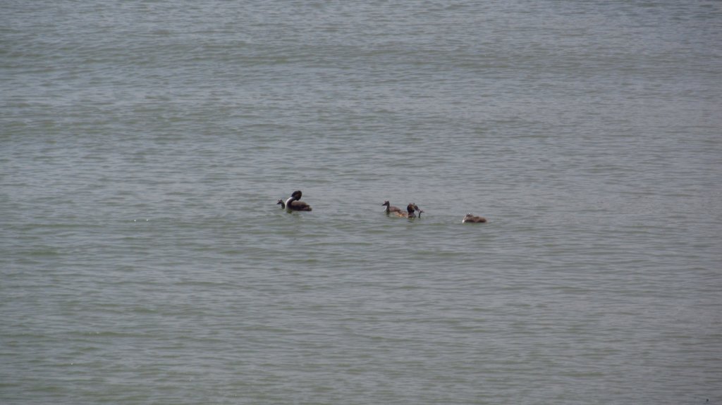 photo189.jpg