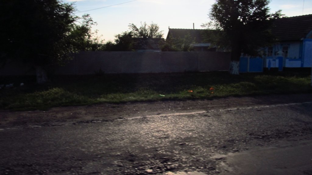 photo87.jpg