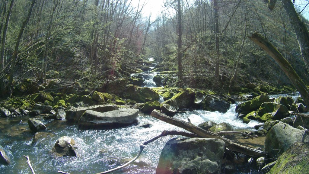photo64.jpg