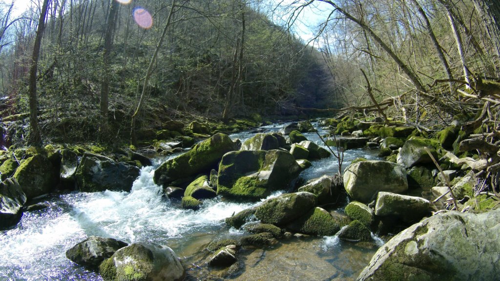 photo67.jpg