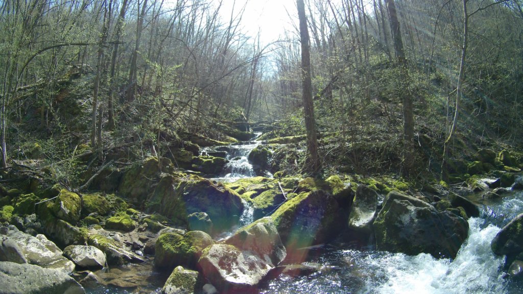 photo69.jpg
