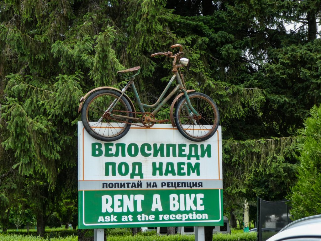 photo100.jpg
