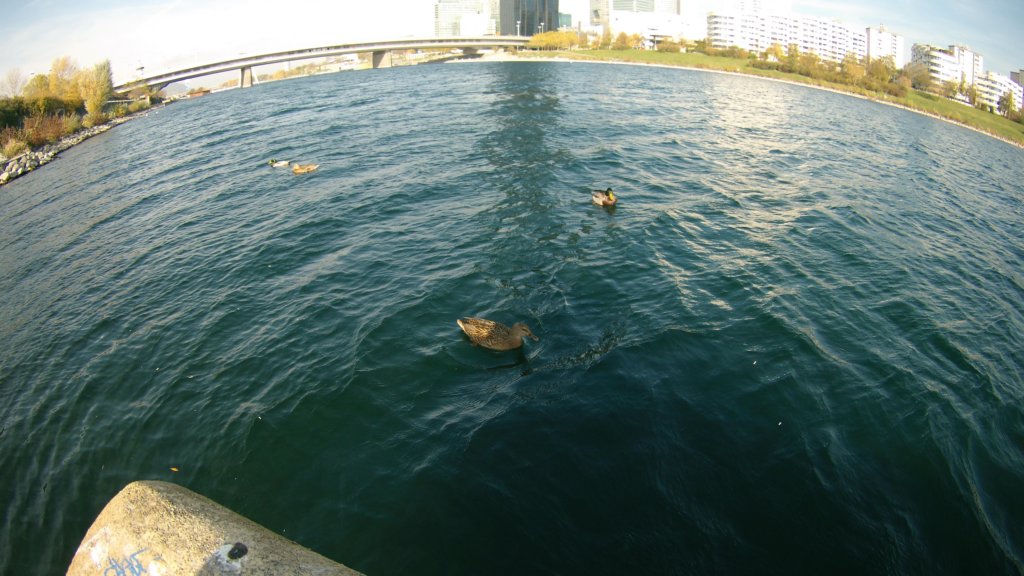 photo24.jpg