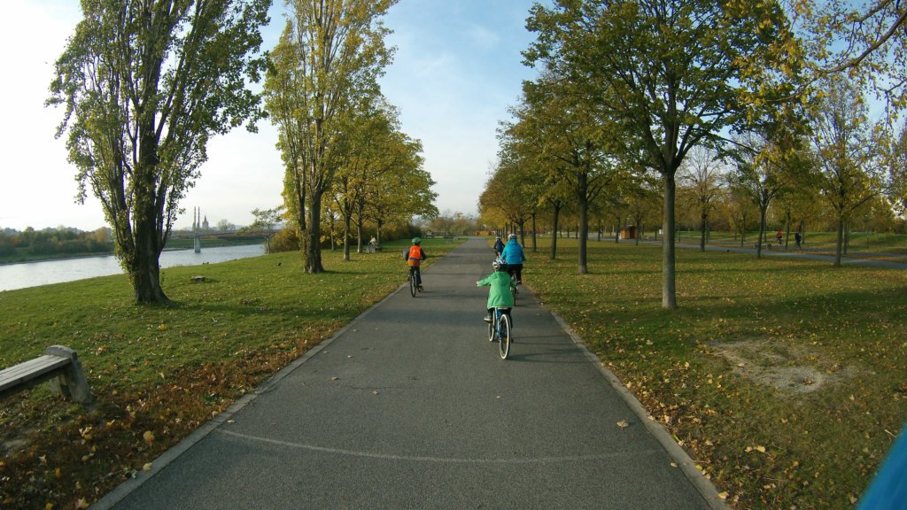 photo42.jpg