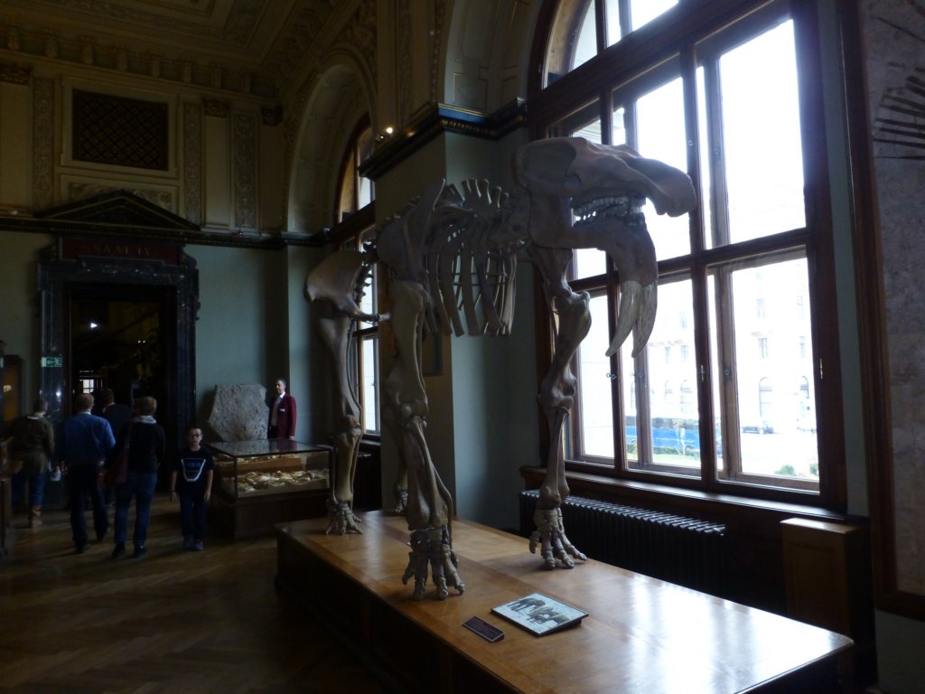 photo49.jpg