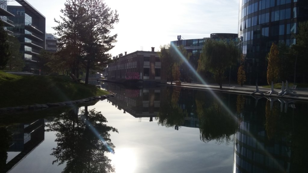 photo21.jpg