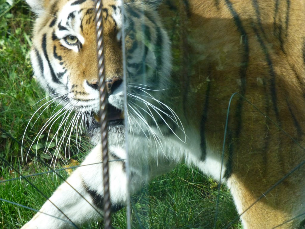 photo39.jpg