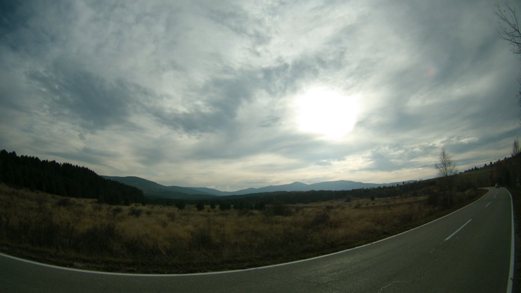 photo39.jpg