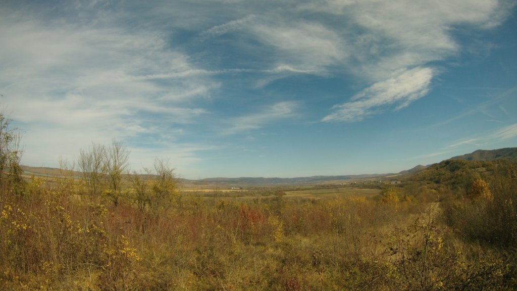 photo38.jpg