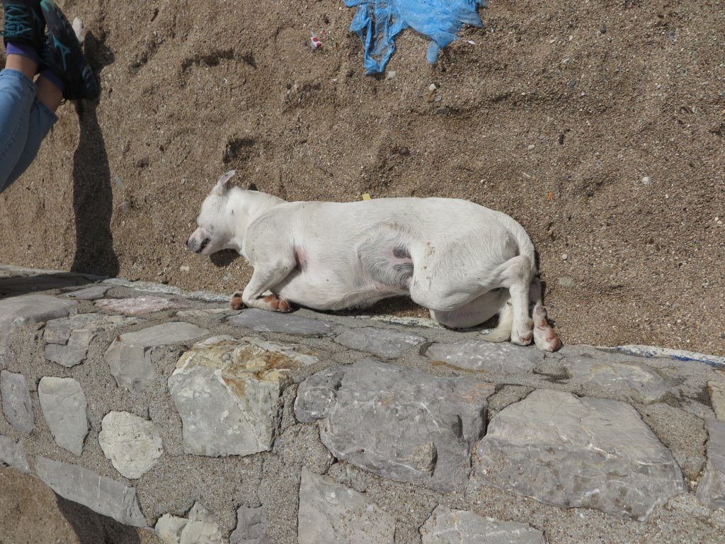 photo19.jpg