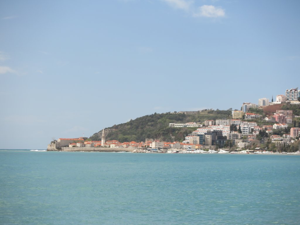 photo8.jpg