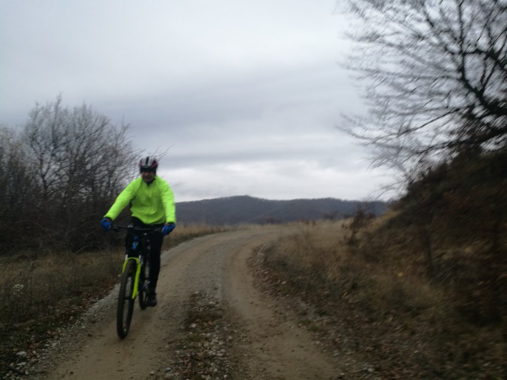 photo14.jpg