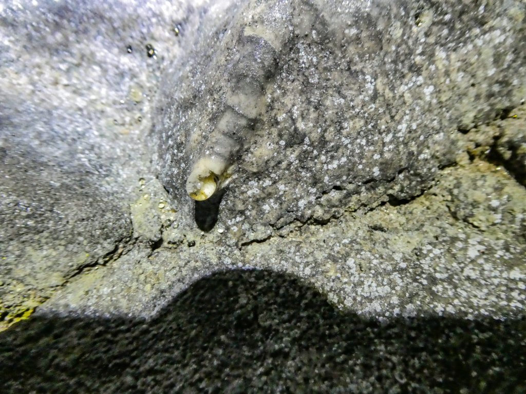 photo45.jpg