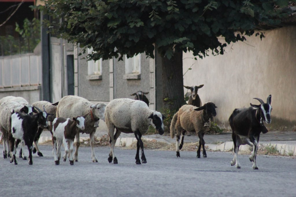 photo45.jpg