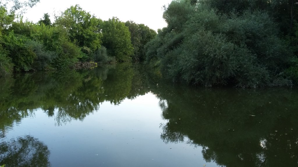 photo85.jpg