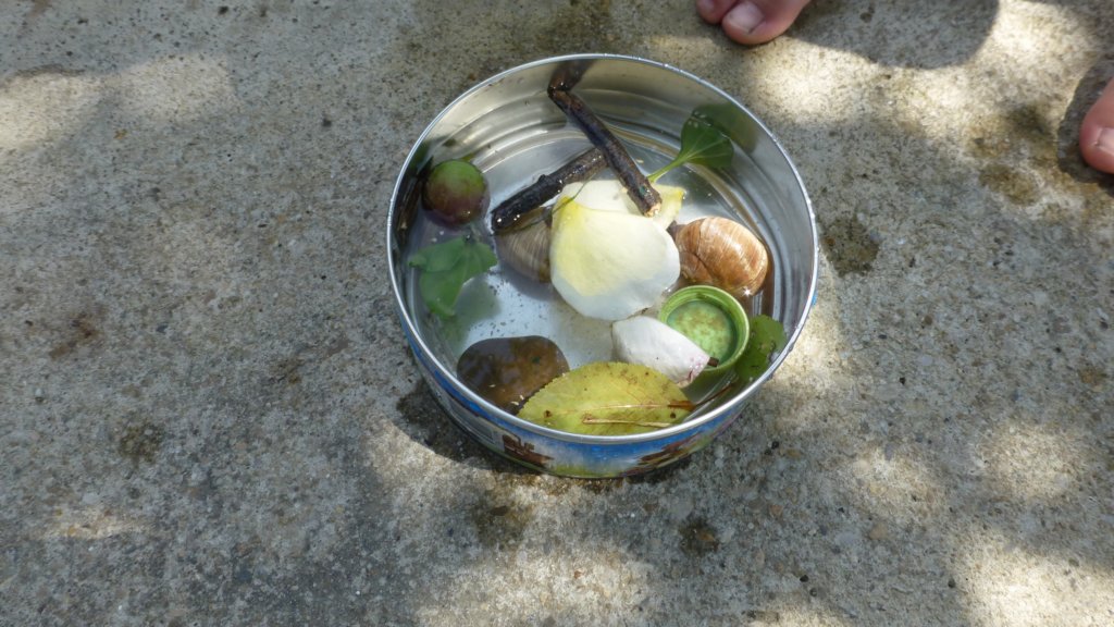 photo76.jpg