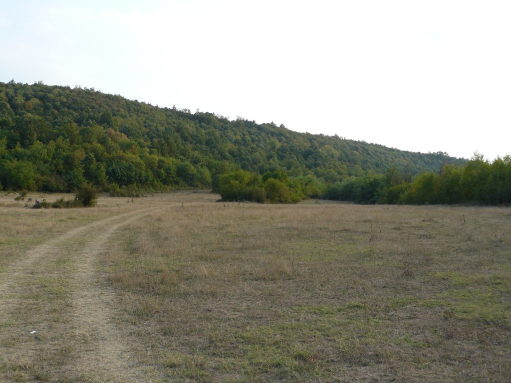 p1130057.jpg