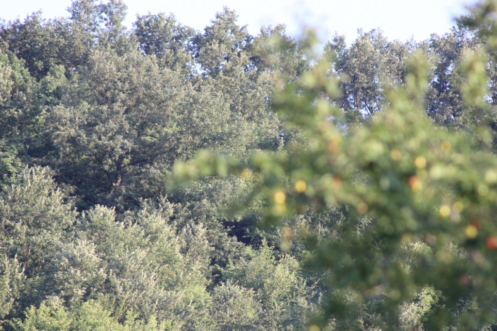 photo50.jpg