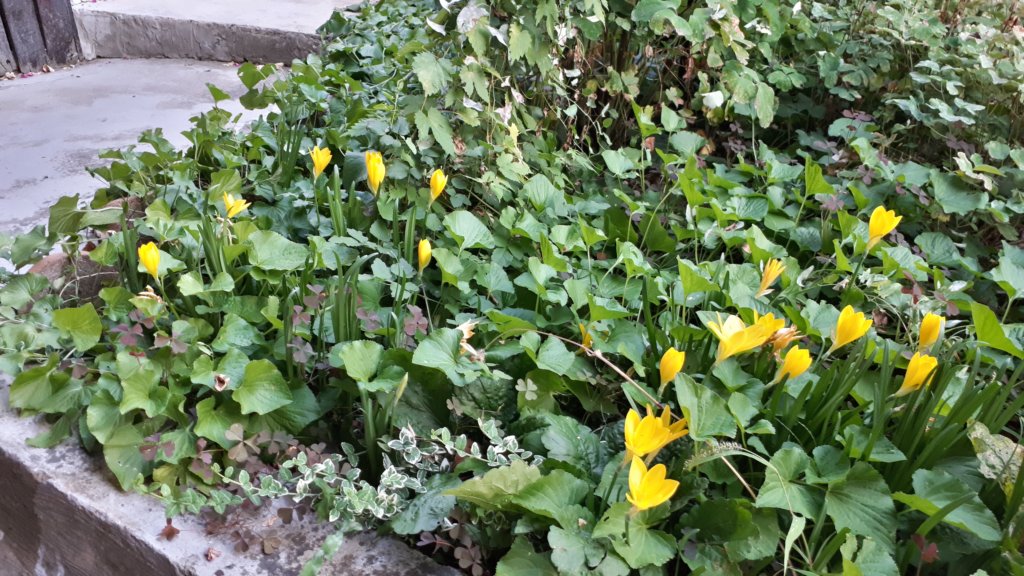 photo14.jpg