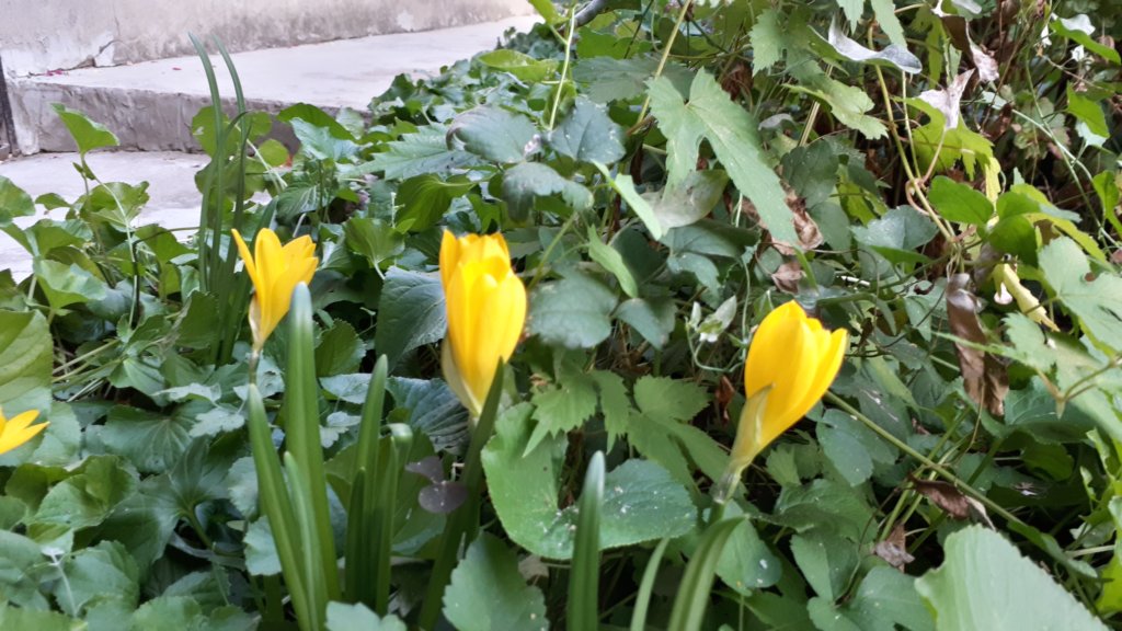 photo16.jpg