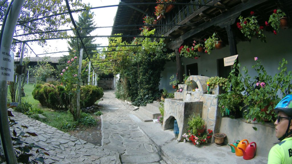 photo38.jpg