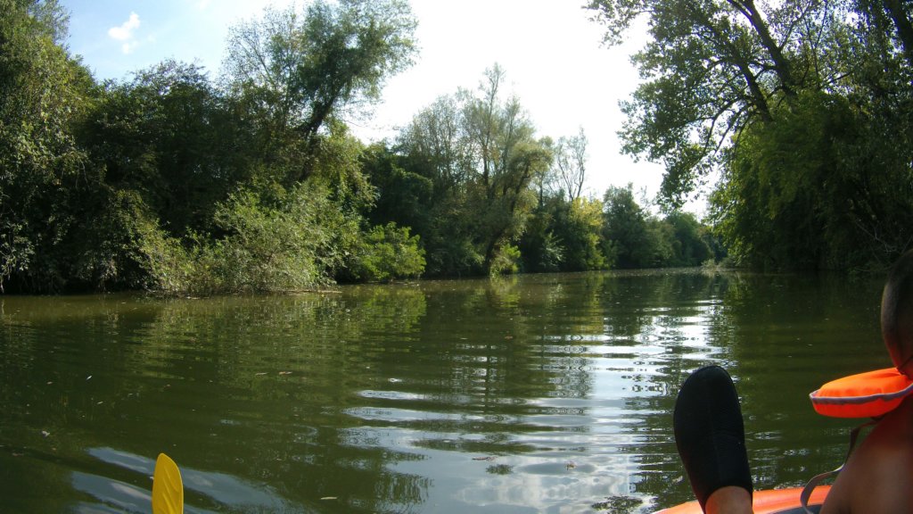 photo77.jpg