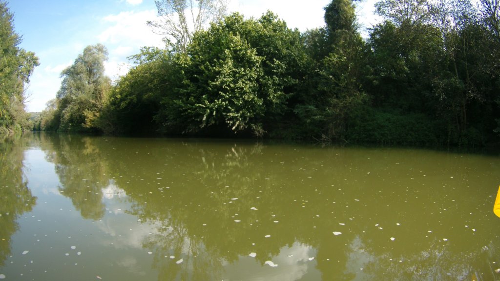 photo97.jpg