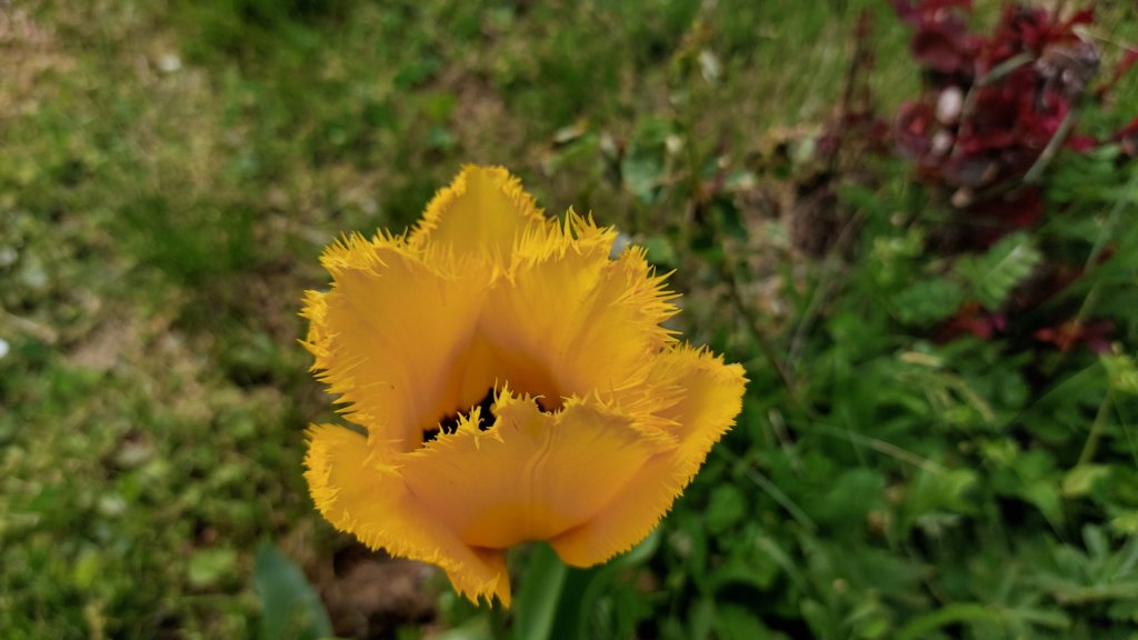 photo14.jpg