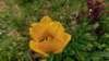photo14_small.jpg