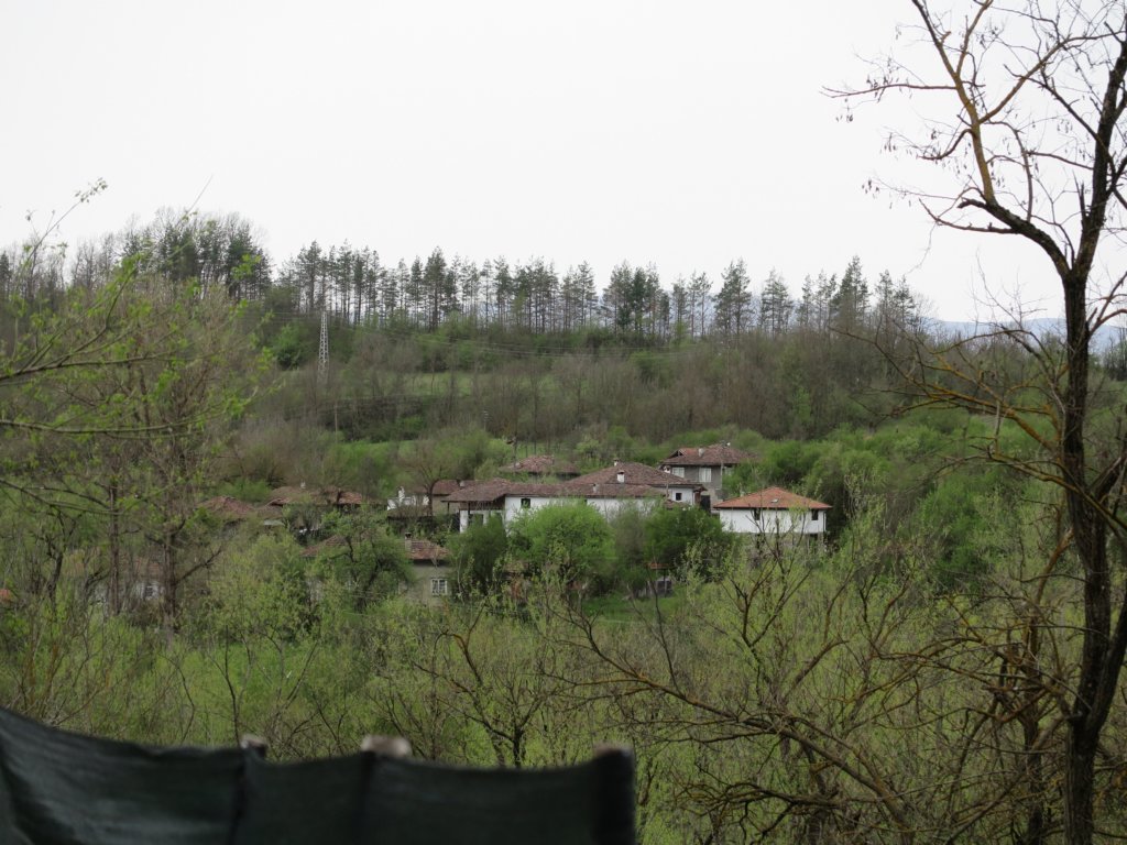 photo27.jpg